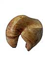 Welle
